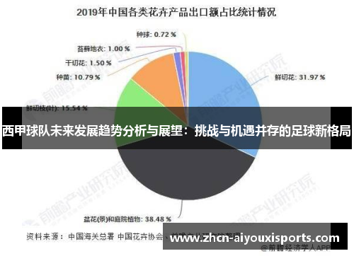 西甲球队未来发展趋势分析与展望：挑战与机遇并存的足球新格局
